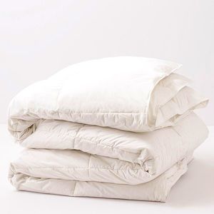 Allied Home All Season GOOSE DOWN Comforter - Full/Queen